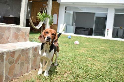 Linda Casa de Estreno En Col�n Con Piscina