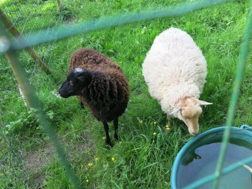 Bed & Breakfast Le Domaine De Pasiphae