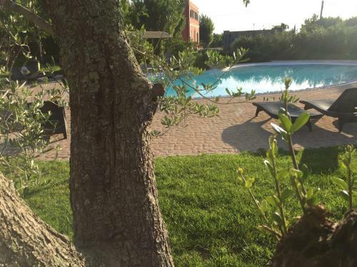 Bed & Breakfast Tenuta Monaci La Murra