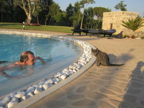 Bed & Breakfast Tenuta Monaci La Murra