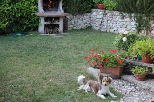 Agroturismo Agriturismo Roccagelli
