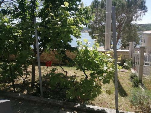 Apartman Jurjevic - Whole House With Yard And Parking