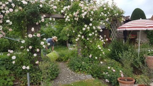 B&B Eenvoud In Overvloed