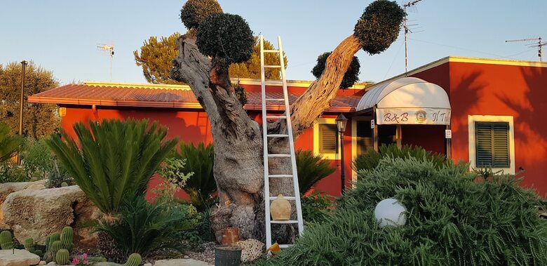 Bed & Breakfast Il Trulletto