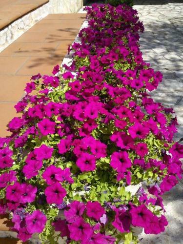 Albachiara Bed & Breakfast