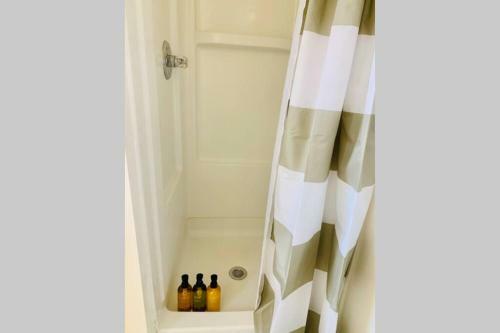 Lower Mable Unit, Denver New Kitchen & 2 King Beds