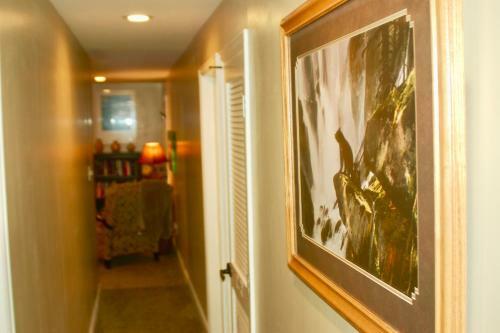 Apartamento Blue Bear Den 3br 2ba Dtc Private Apt Non Smoking