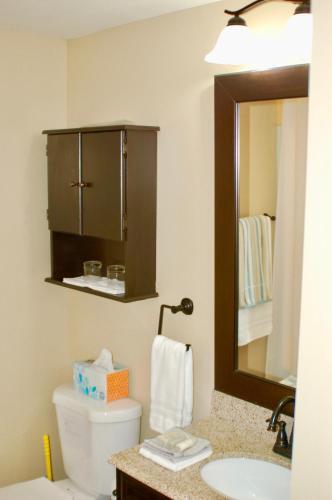 Apartamento Blue Bear Den 3br 2ba Dtc Private Apt Non Smoking