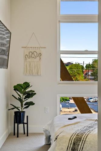 Local Artist-inspired Prudden Loft - Espadin Lohi