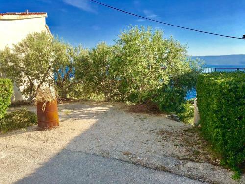 Apartment Martinovic