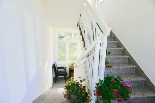 Rosette Apartment