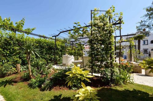 Apartments In Pjescana Uvala/istrien 10996