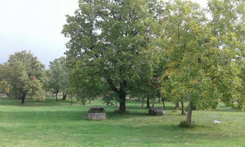 Apartman Nevia Holiday Home