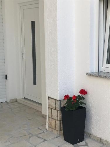 Apartman Irena 3