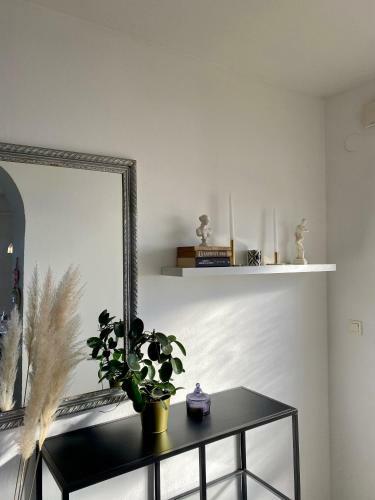 Apartman View