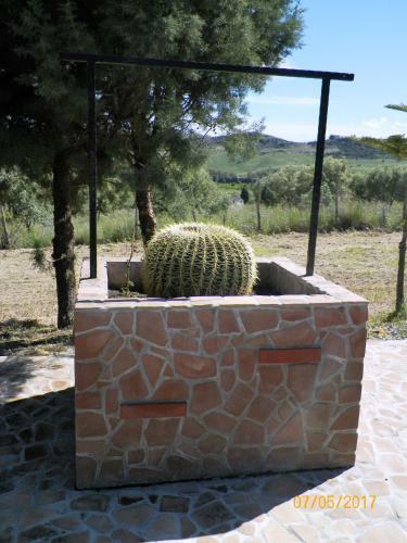 Agroturismo Agriturismo Colle Del Sindaco
