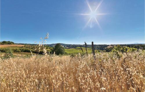 Apartamento Vincenzo-podere Moricci