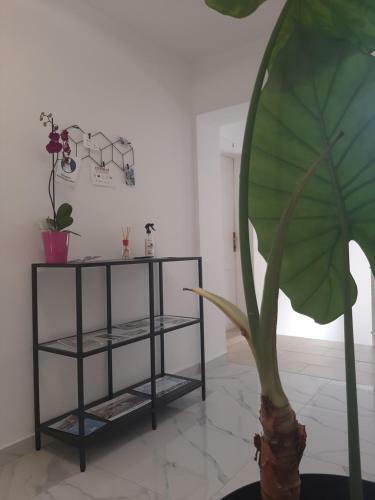 Hostal Apartmans And Rooms Petra