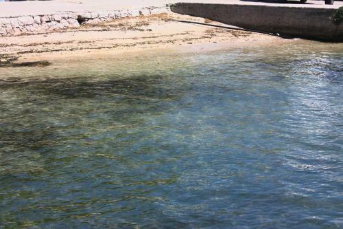 Seaside Holiday House Barbat, Rab - 16712