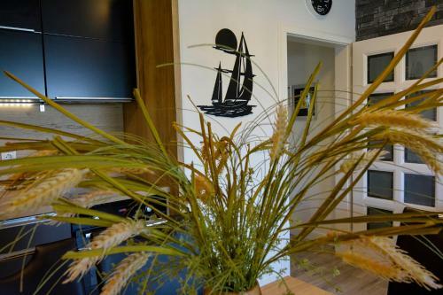 Apartment 10 In Villa Petrac