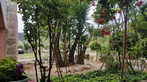 Bed & Breakfast Guest House Galeb2