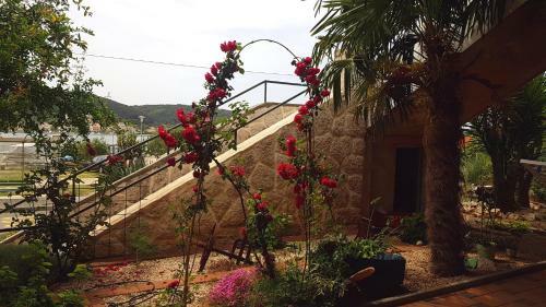 Bed & Breakfast Guest House Galeb2