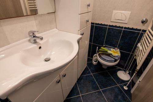 Apartman Boris