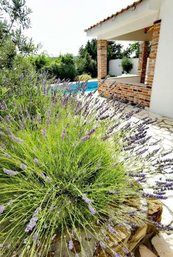 Holiday Homes Sintija