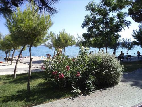 Apartamentos Penthouse - Sea View