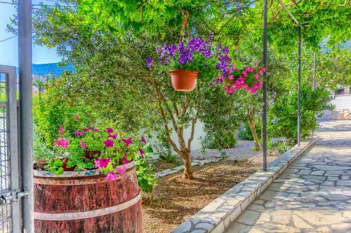 Apartment Villa Hacijenda With Private Pool And Jacuzzi