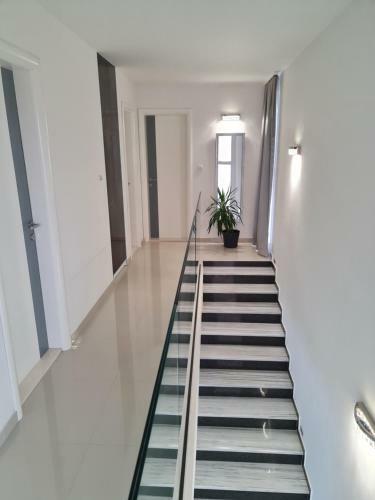 Luxury Villa Helena