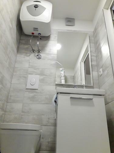 Studio Apartman Dvor