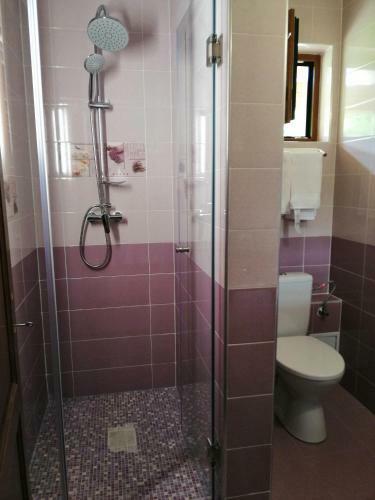 Hostal Pensiunea Plai Strabun