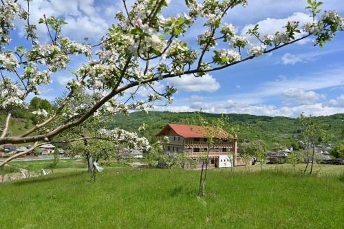Hostal Pensiunea Plai Strabun