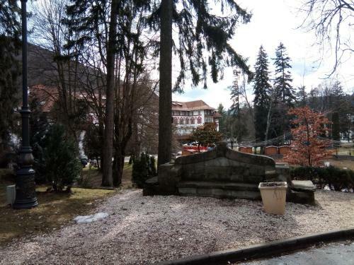 Apartamentul Brandusa