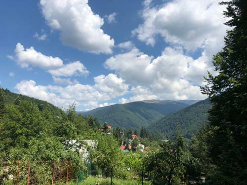 Villa Vila Sinaia Private