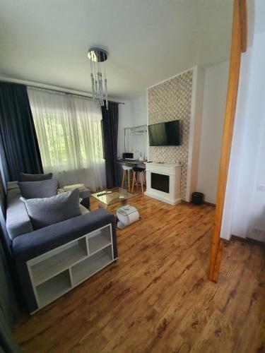 Laura Apartments Sinaia