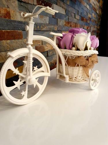 Laura Apartments Sinaia