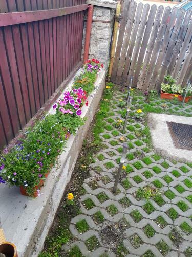 Vaso Apartament
