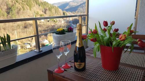 George Apartment Sinaia