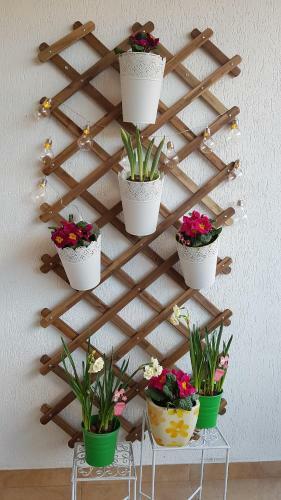 George Apartment Sinaia