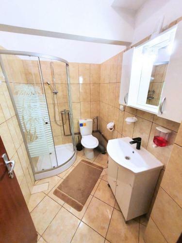 Apartamento Studio Central Sinaia