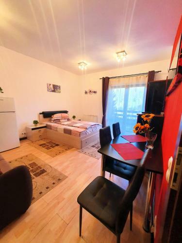 Apartamento Studio Central Sinaia