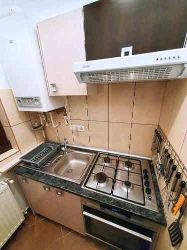 Apartamento Studio Central Sinaia