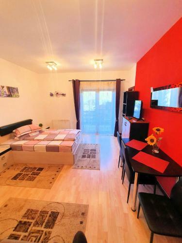 Apartamento Studio Central Sinaia