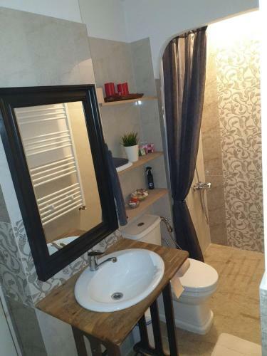 Harmony Luxury Apartments Sinaia