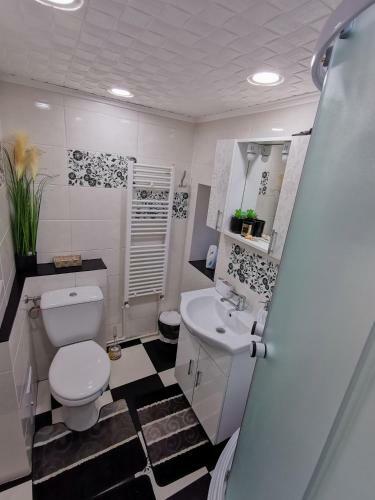 Apartament Dilama Sinaia