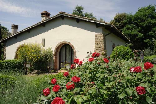 Apartamento Antico Casale Montaione