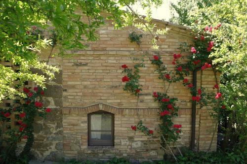 Apartamento Antico Casale Montaione