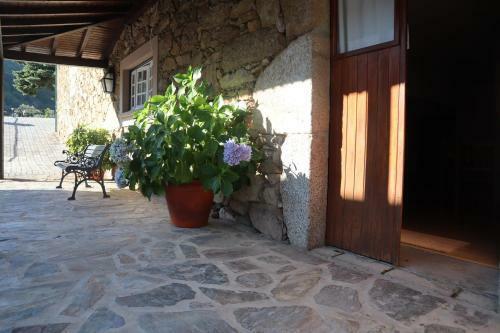 Bed & Breakfast Alojamento Santa Clara